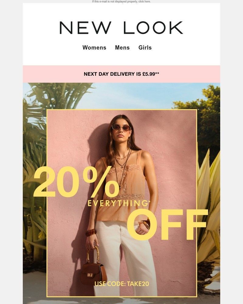 Screenshot of email with subject /media/emails/one-day-only-20-off-everything-5f3aef-cropped-52dcff6d.jpg