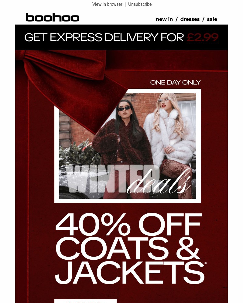 Screenshot of email with subject /media/emails/one-day-only-40-off-winter-147e63-cropped-a01b416d.jpg