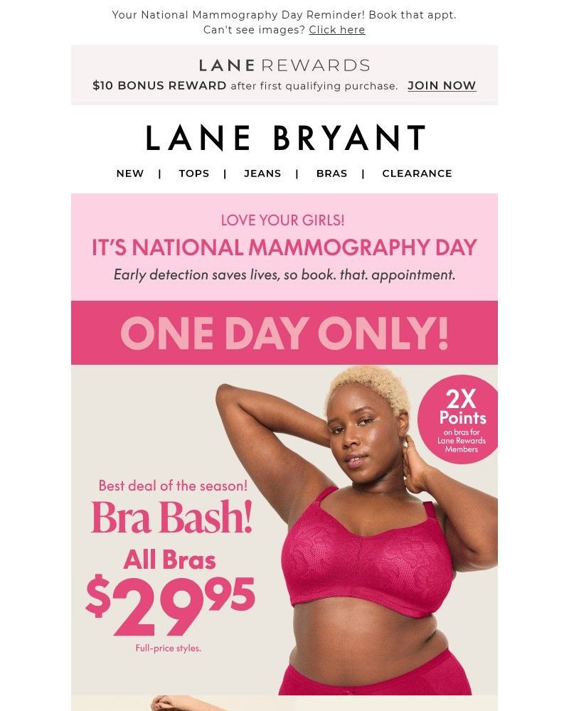 Screenshot of email with subject /media/emails/one-day-only-all-bras-2995-8ede97-cropped-ab86c9cb.jpg