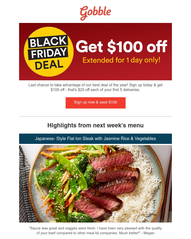 Screenshot of email with subject /media/emails/one-day-only-black-friday-100-off-extended-cropped-1450034d.jpg