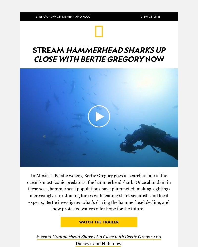 Screenshot of email with subject /media/emails/one-extraordinary-shark-countless-surprises-hammerhead-sharks-up-close-is-now-str_CEV2Pjc.jpg