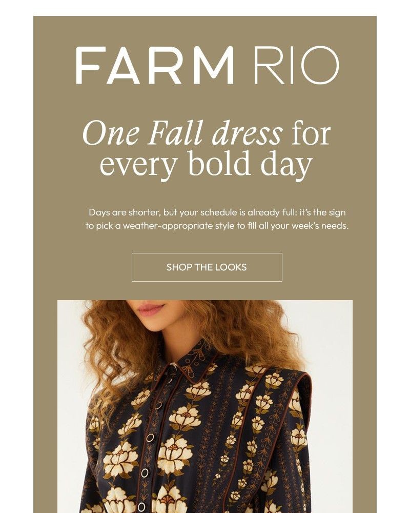 Screenshot of email with subject /media/emails/one-fall-dress-for-every-bold-day-d7a6b5-cropped-d7d72ea5.jpg