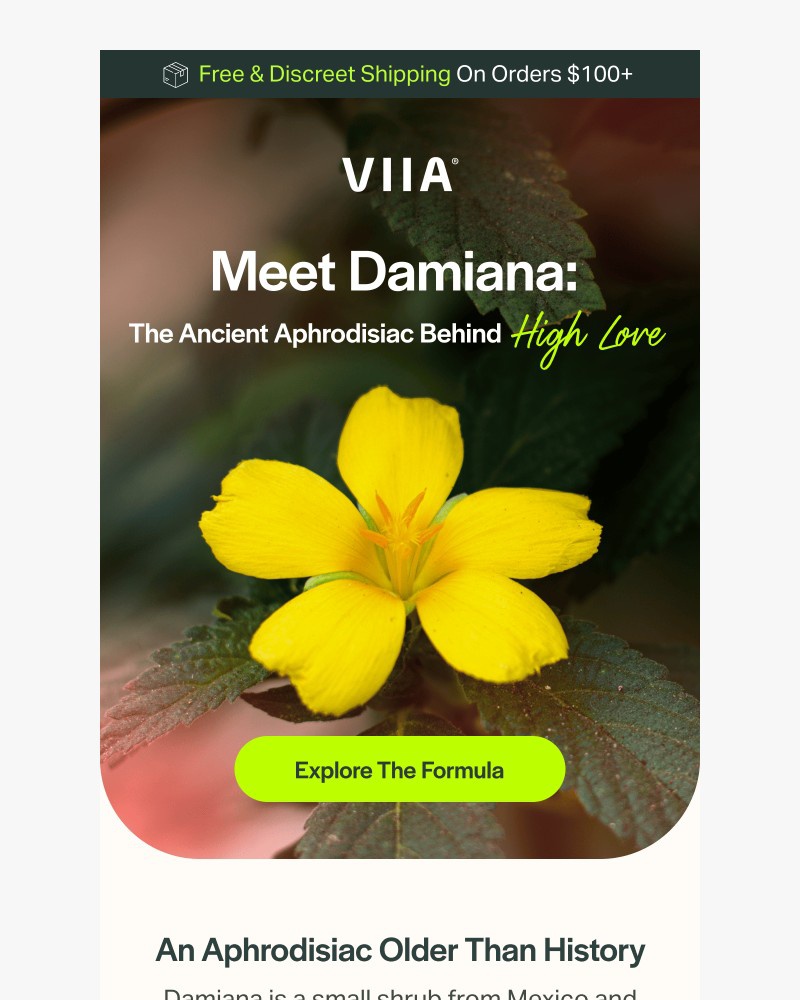 Screenshot of email with subject /media/emails/one-ingredient-centuries-of-results-daa46c-cropped-9fab7f71.jpg