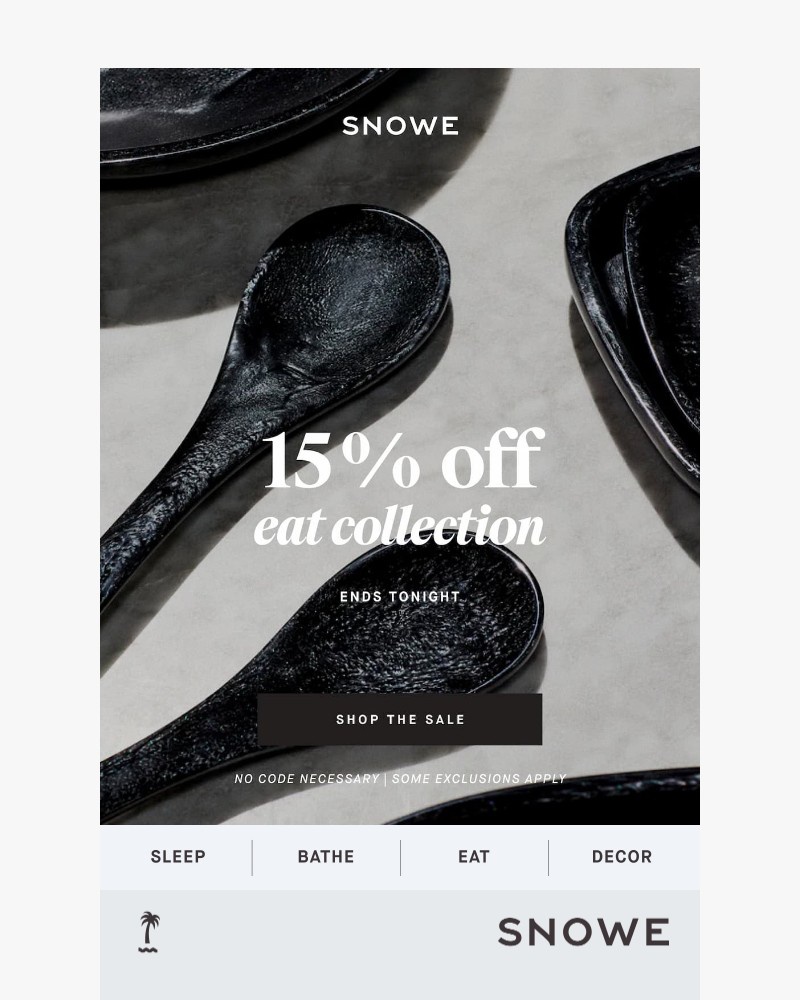 Screenshot of email sent to a Snowe Newsletter subscriber