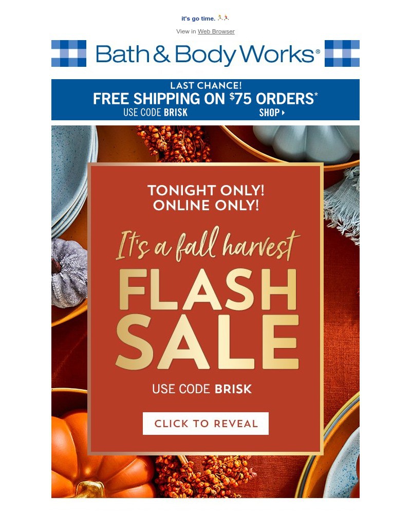 Screenshot of email with subject /media/emails/one-night-only-flash-sale-b18346-cropped-27c453eb.jpg