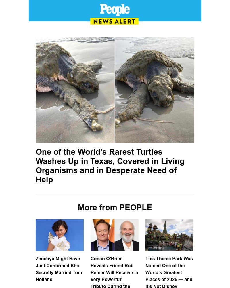 Screenshot of email with subject /media/emails/one-of-the-worlds-rarest-turtles-washes-up-in-texas-covered-in-living-organisms-a_Dl2vaYZ.jpg