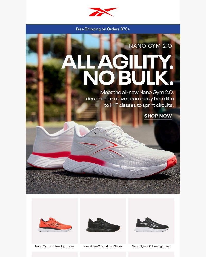 Screenshot of email with subject /media/emails/one-shoe-to-crush-every-workout-34b16d-cropped-183ee0b0.jpg
