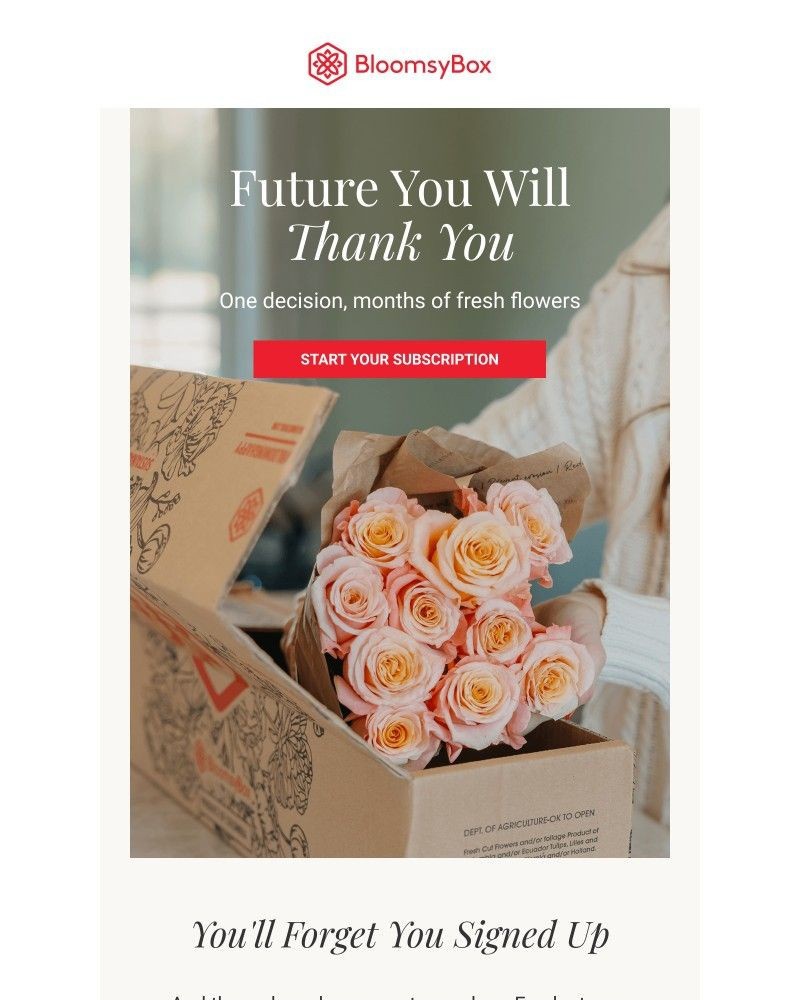 Screenshot of email sent to a Chococurb Newsletter subscriber