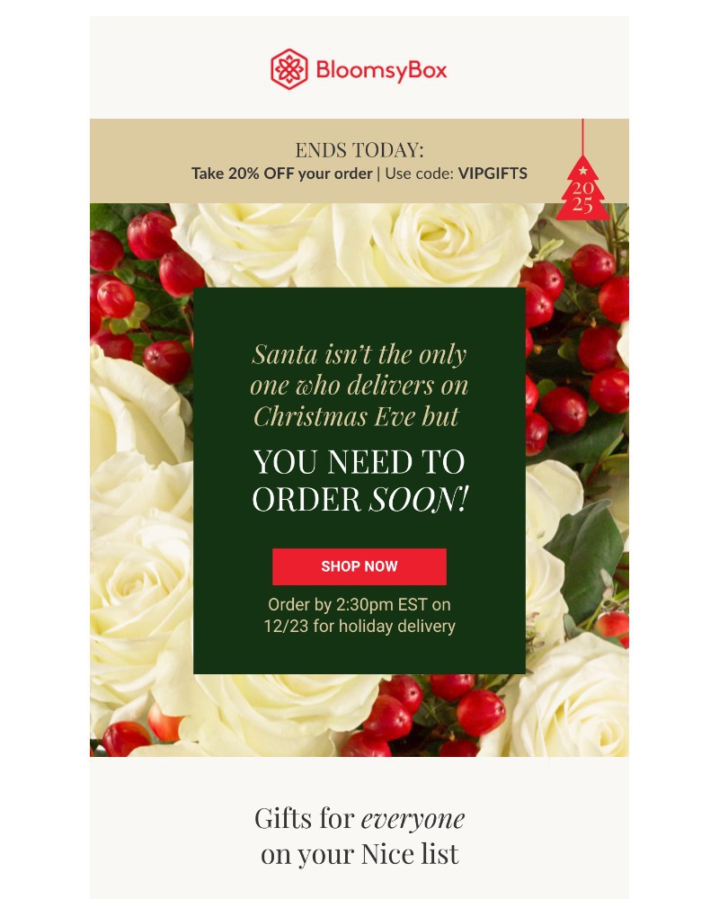 Screenshot of email with subject /media/emails/one-week-until-christmas-one-day-to-save-96f172-cropped-6dd9983a.jpg