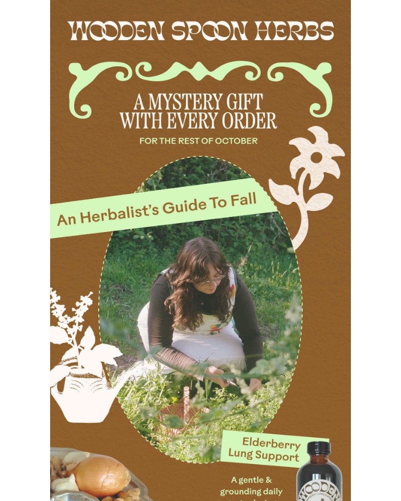 Screenshot of email with subject /media/emails/ooo-a-mystery-6dab61-cropped-e9ad6872.jpg