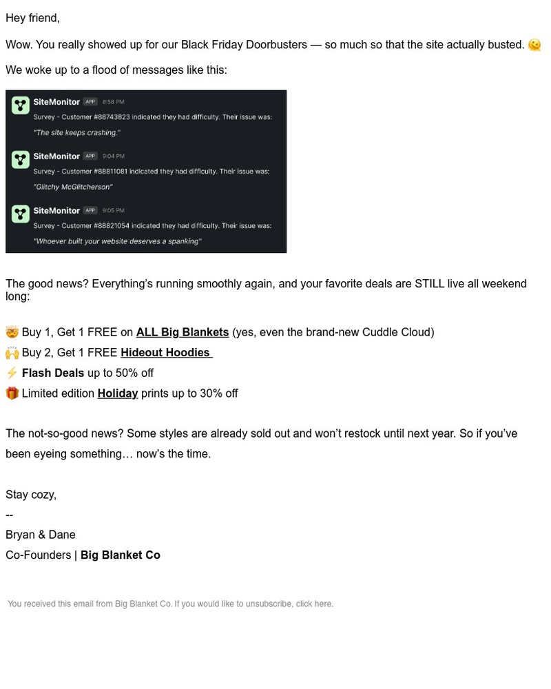 Screenshot of email with subject /media/emails/oopsour-website-broke-855f18-cropped-2026aa95.jpg