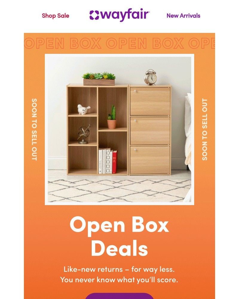 Screenshot of email sent to a Wayfair Newsletter subscriber