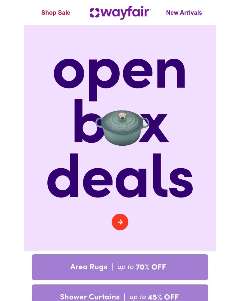 Screenshot of email sent to a Wayfair Newsletter subscriber