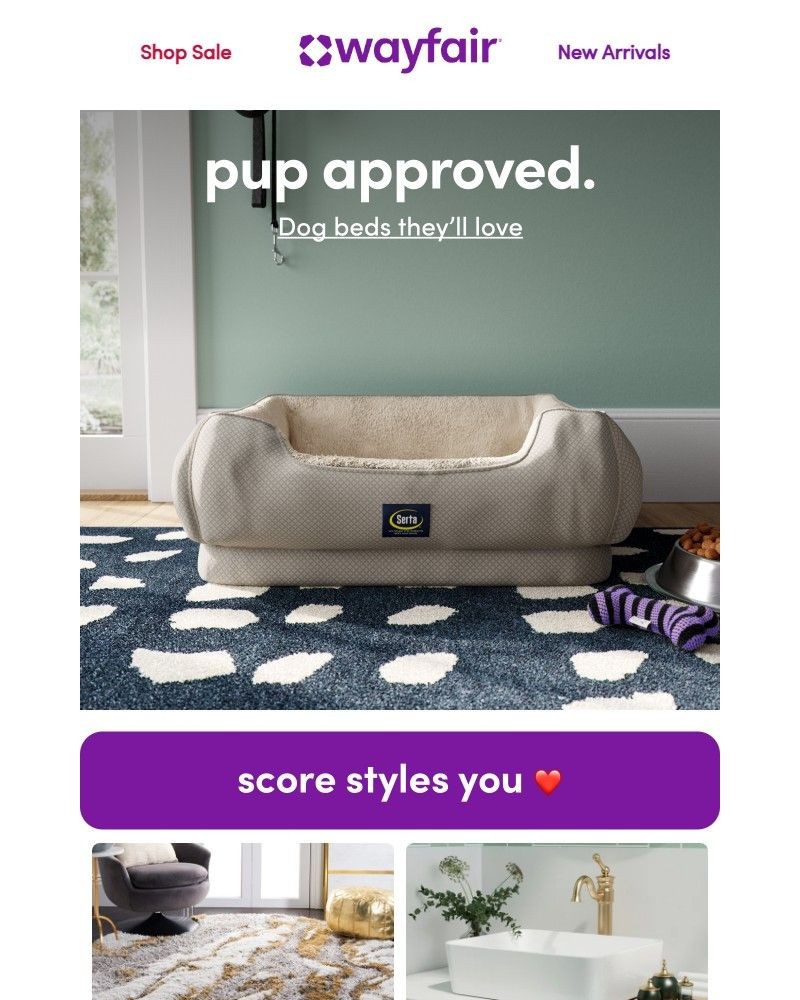 Screenshot of email sent to a Wayfair Newsletter subscriber