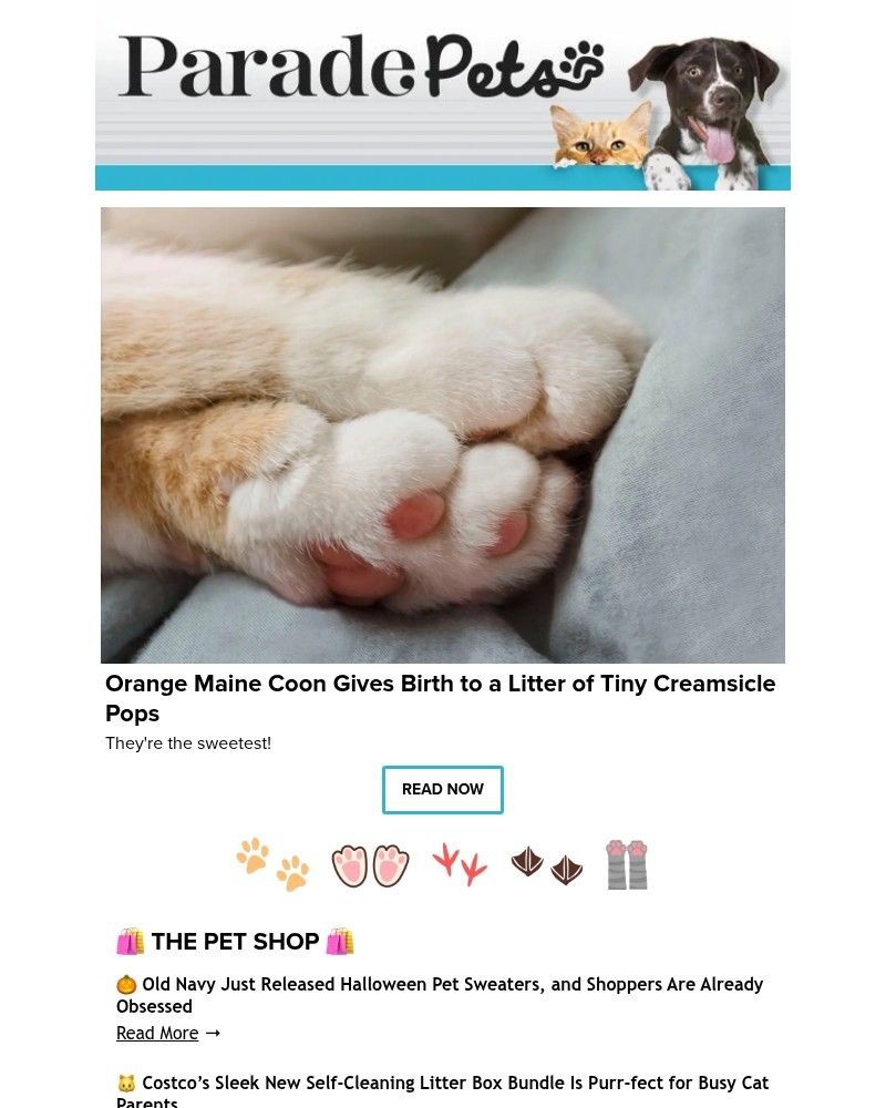 Screenshot of email sent to a Parade Newsletter subscriber