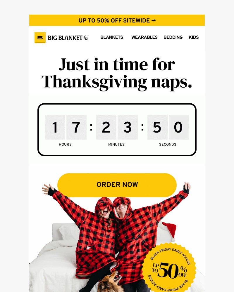 Screenshot of email with subject /media/emails/order-now-to-get-it-by-thanksgiving-2c1e5a-cropped-a335c8de.jpg