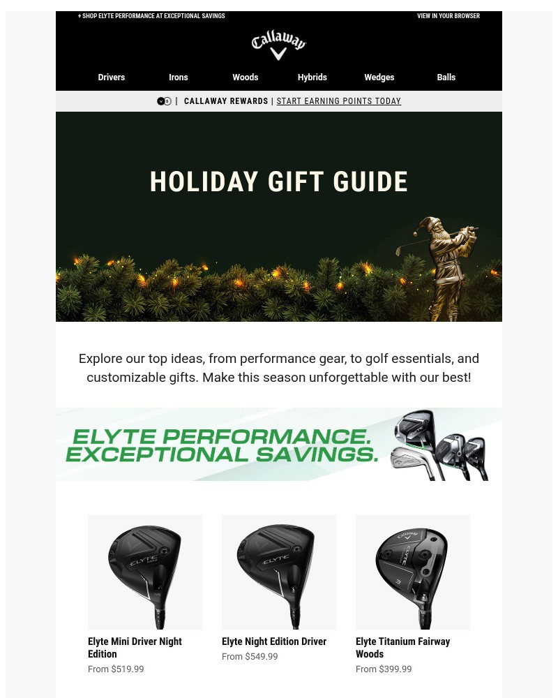 Screenshot of email with subject /media/emails/order-today-for-guaranteed-arrival-in-time-for-the-holidays-3b83a1-cropped-a865b6c3.jpg