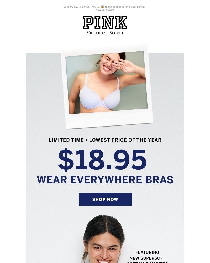Screenshot of email with subject /media/emails/our-1-bra-1895lowest-price-of-the-year-7f7ded-cropped-bd6ad0dc.jpg