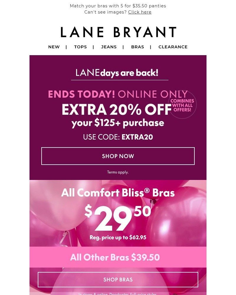 Screenshot of email sent to a Lane Bryant Newsletter subscriber