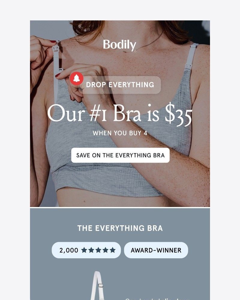 Screenshot of email with subject /media/emails/our-1-bra-is-35-3149e1-cropped-3f7854ea.jpg