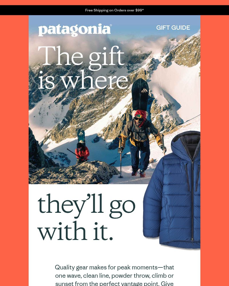 Screenshot of email sent to a Patagonia Newsletter subscriber