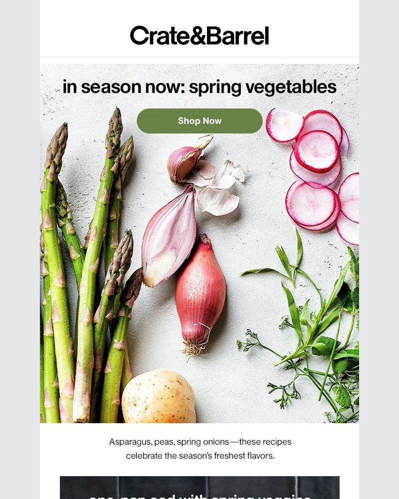 Screenshot of email with subject /media/emails/our-4-freshest-spring-recipes-b5987b-cropped-ae1dcb48.jpg