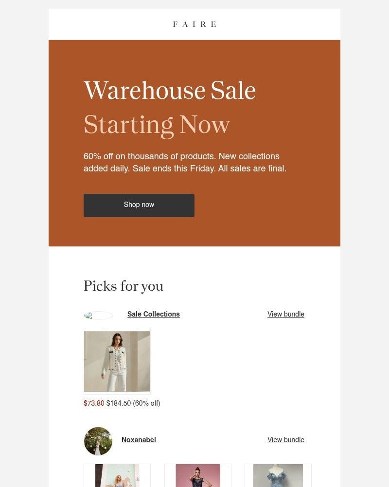 Screenshot of email sent to a Faire Newsletter subscriber