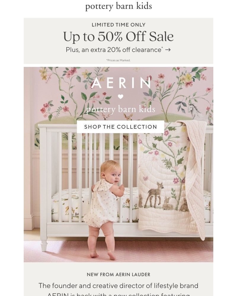 Screenshot of email with subject /media/emails/our-aerin-collection-where-charming-meets-playful-9e5cb1-cropped-fb98479a.jpg