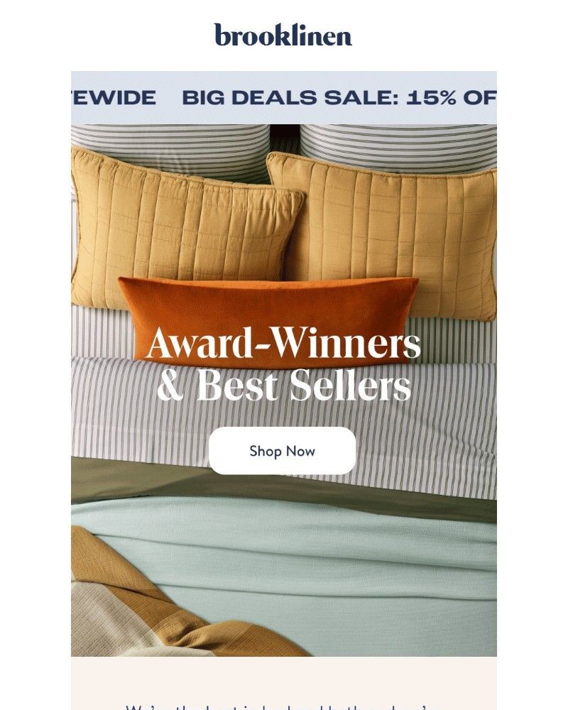 Screenshot of email with subject /media/emails/our-award-winner-are-selling-fast-f11439-cropped-a1cb89da.jpg