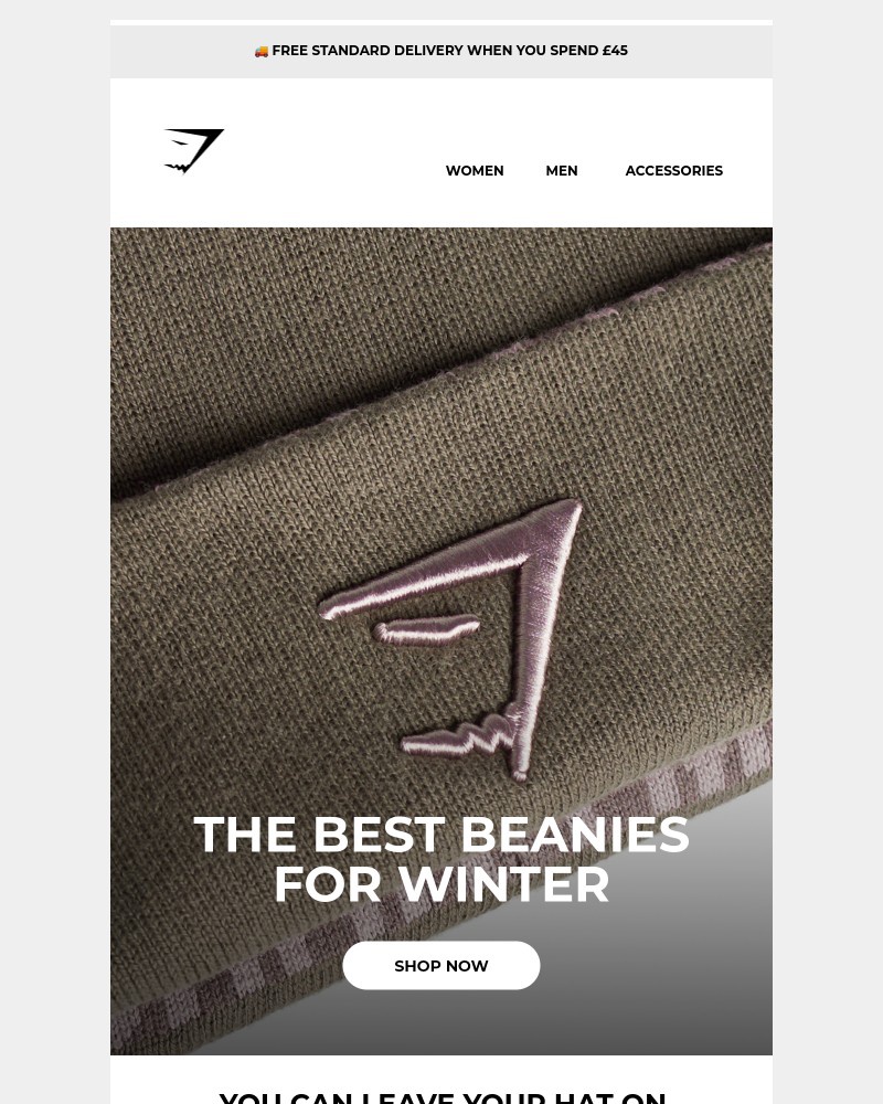 Screenshot of email with subject /media/emails/our-best-beanies-for-winter-training-8f163c-cropped-21134d0a.jpg