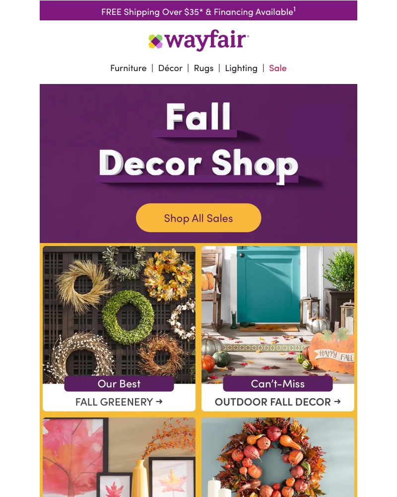 Wayfair emails sent to a Newsletter subscriber