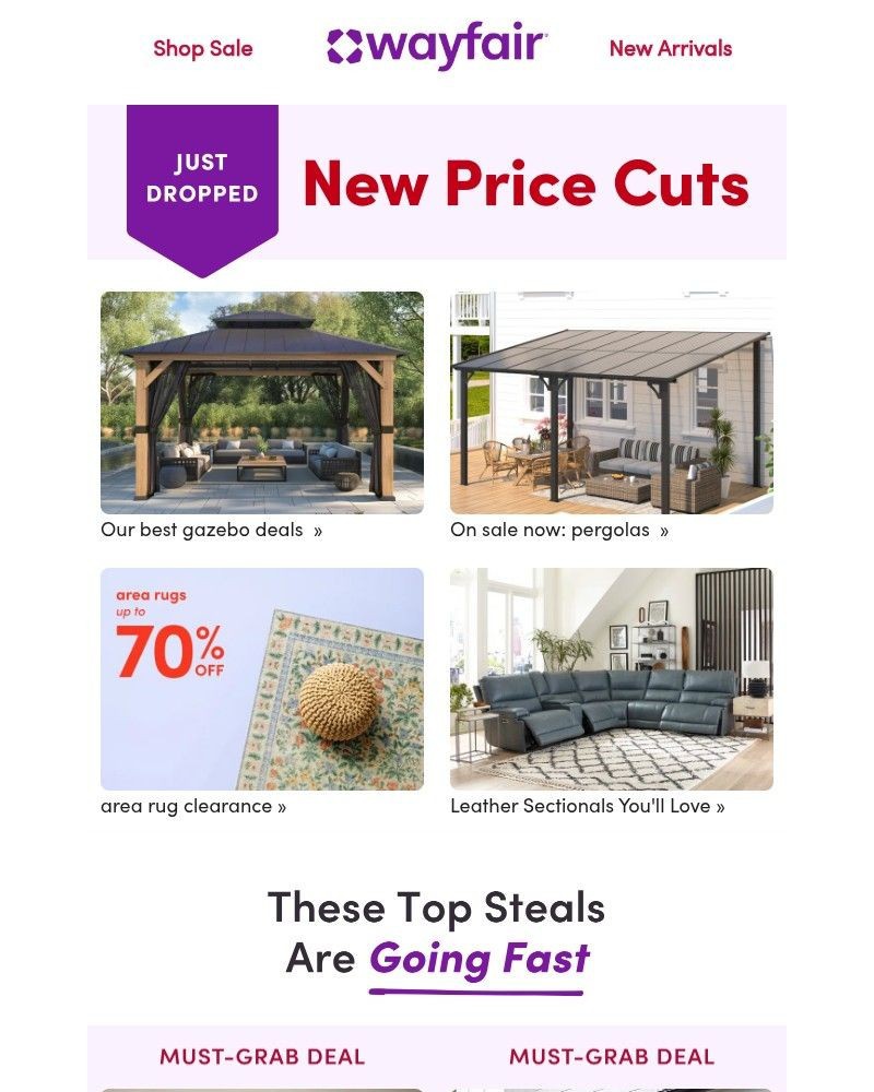 Screenshot of email sent to a Wayfair Newsletter subscriber