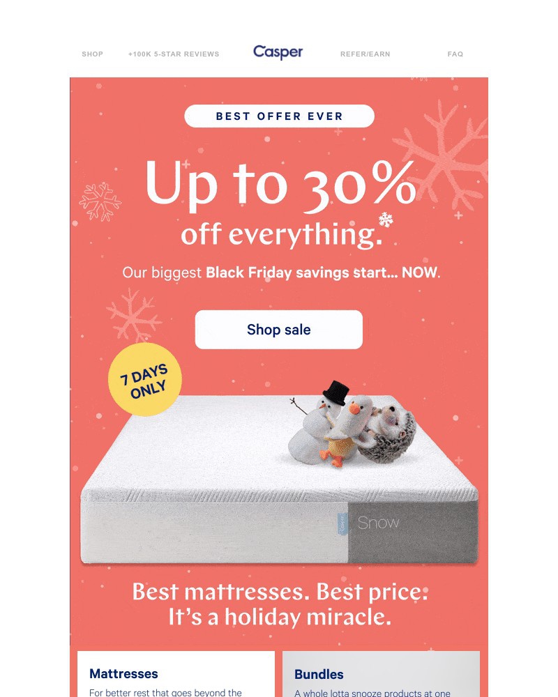 Screenshot of email with subject /media/emails/our-biggest-black-friday-sale-ever-is-here-b18a69-cropped-f12af10f.jpg
