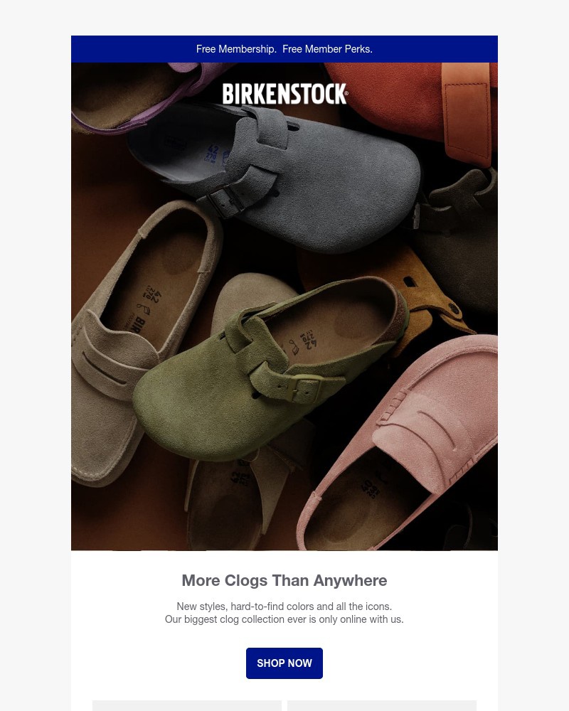 Screenshot of email with subject /media/emails/our-biggest-clog-collection-ever-49e6de-cropped-7fd081eb.jpg