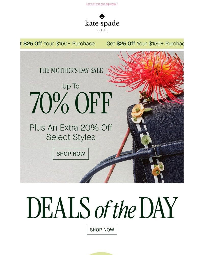 Screenshot of email with subject /media/emails/our-biggest-deals-are-waiting-inside-1ea3cf-cropped-53abfa49.jpg