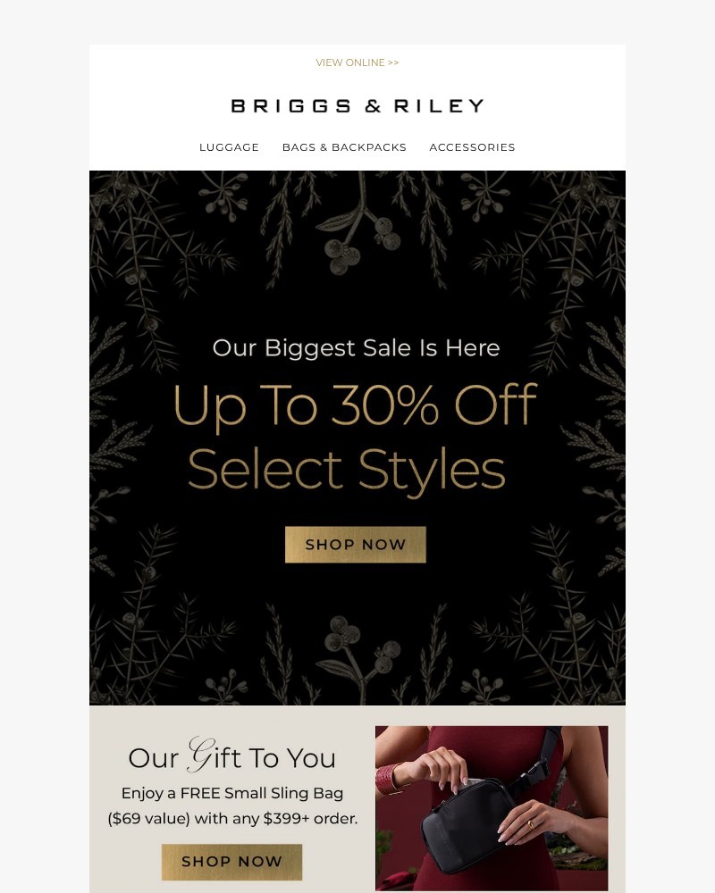 Screenshot of email with subject /media/emails/our-biggest-sale-of-the-year-is-here-43e090-cropped-9a36fb7e.jpg