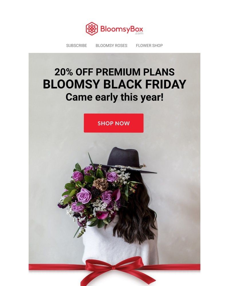 Screenshot of email with subject /media/emails/our-black-friday-sale-has-arrived-85d884-cropped-caf6ec76.jpg