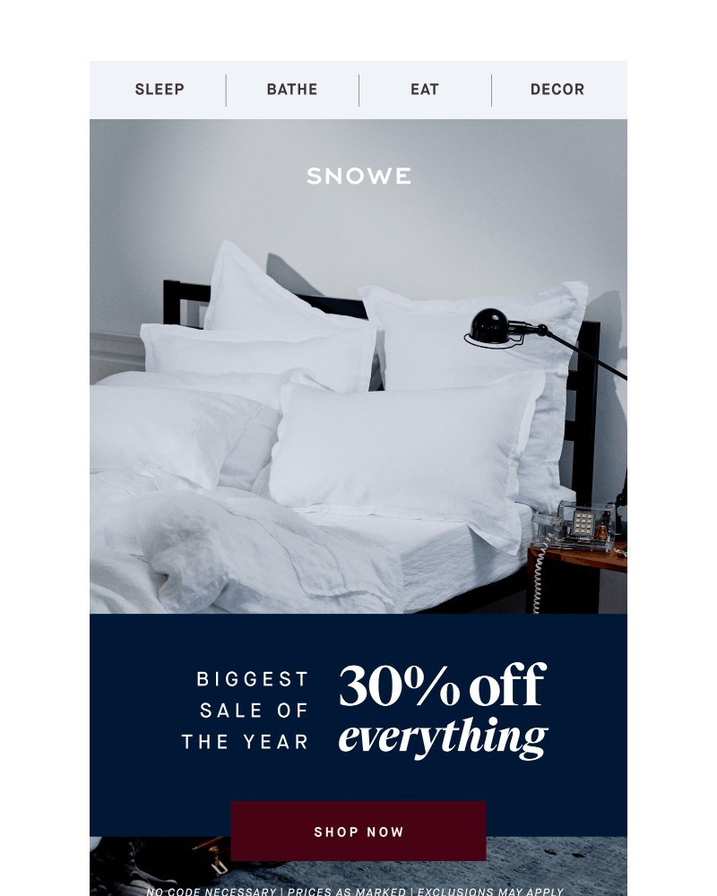 Screenshot of email sent to a Snowe Newsletter subscriber