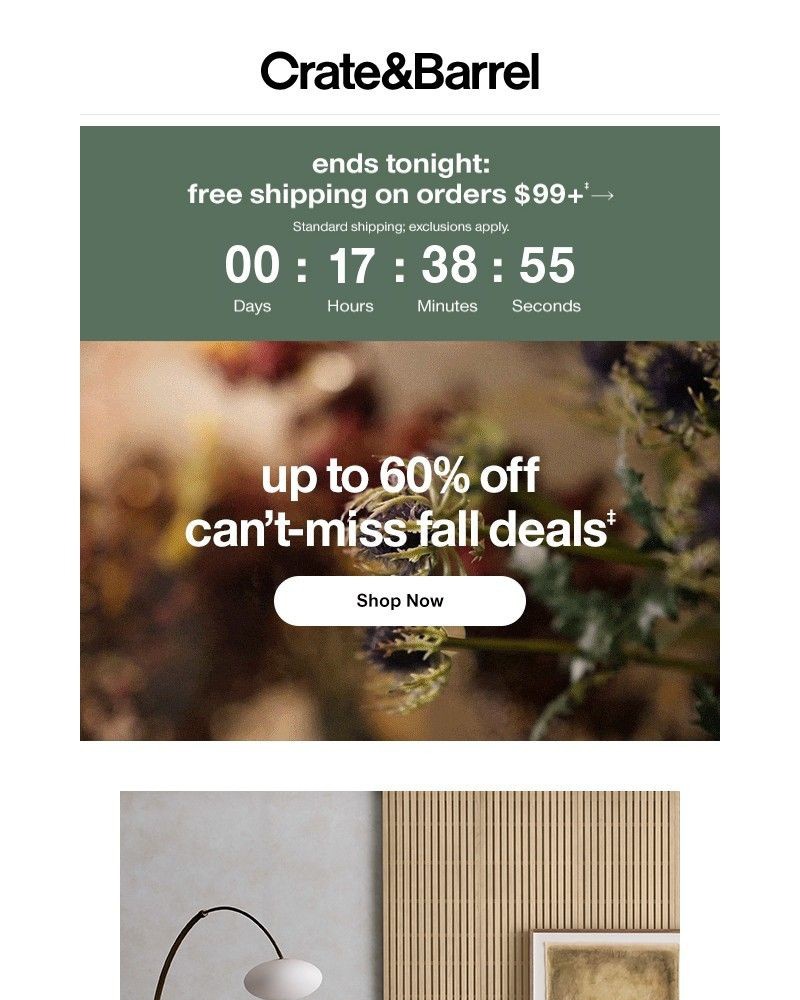 Screenshot of email with subject /media/emails/our-cant-miss-deals-are-ending-soon-shop-now-fc7248-cropped-bdf8b867.jpg