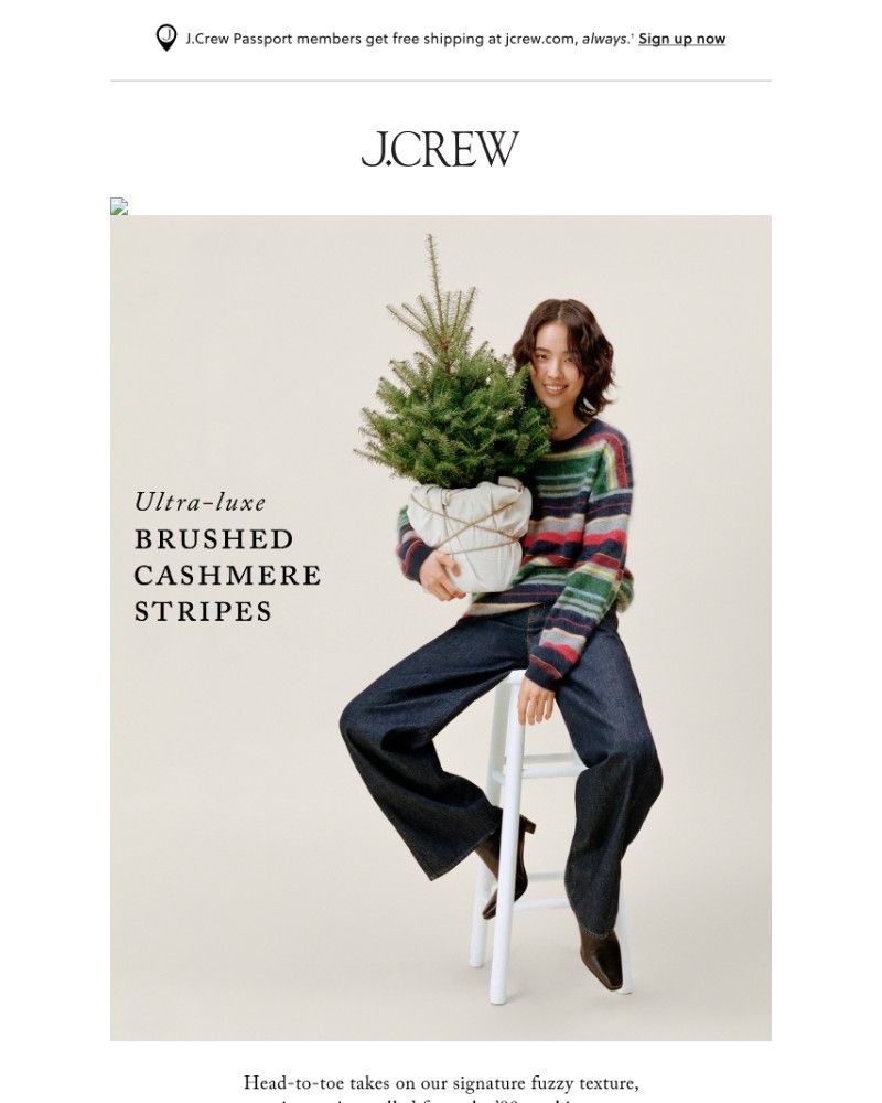 Screenshot of email with subject /media/emails/our-cashmere-shop-is-open-for-the-holidays-40b502-cropped-b381719f.jpg