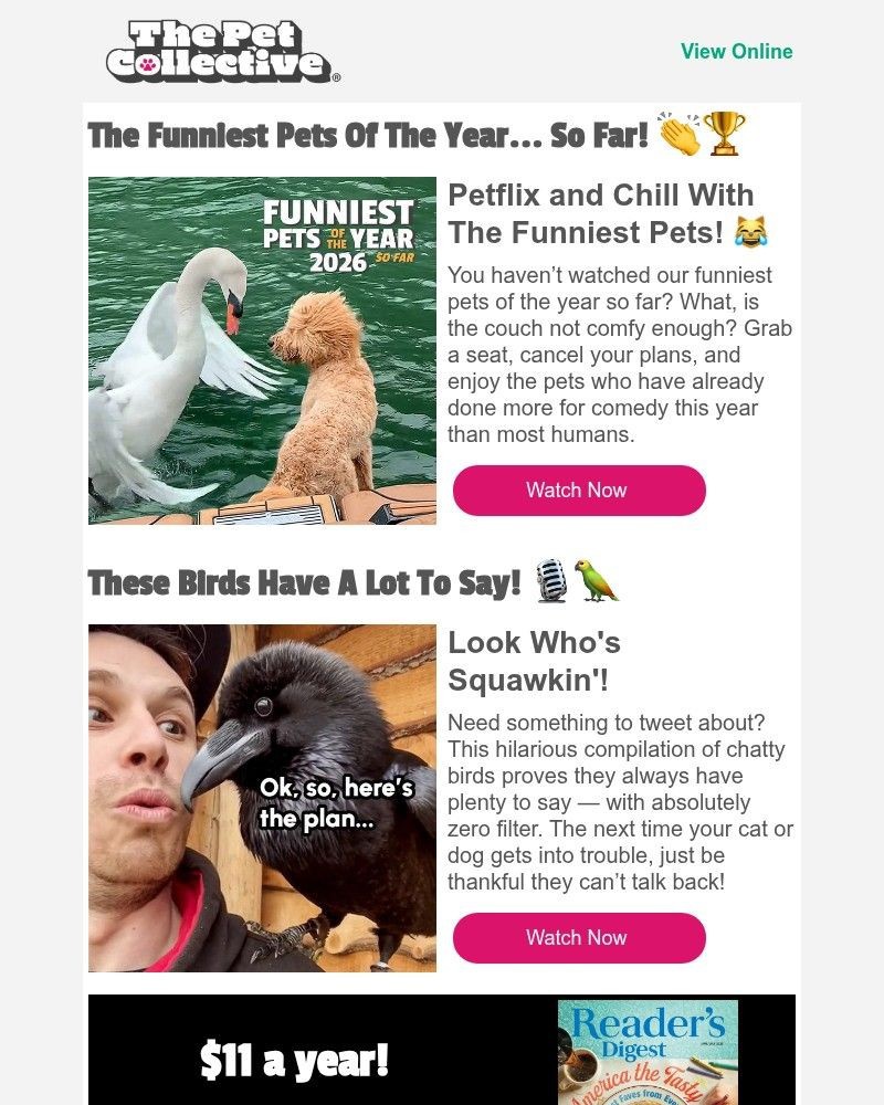 Screenshot of email with subject /media/emails/our-coworkers-sent-us-some-mean-tweets-this-week-769ac6-cropped-0f18fb91.jpg