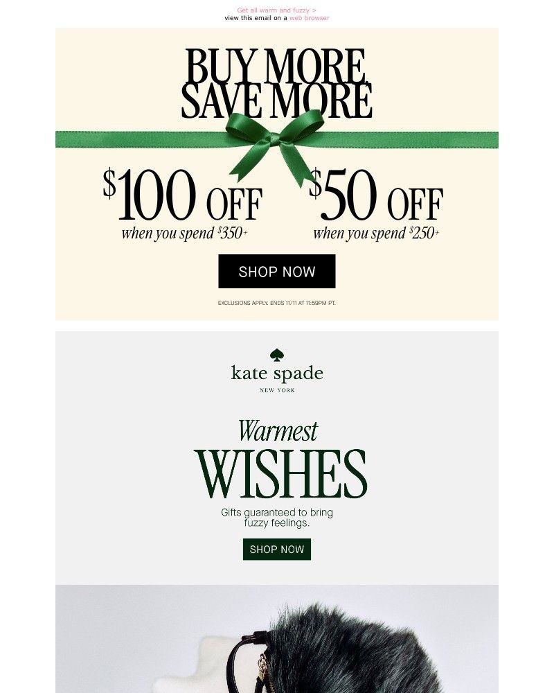 Screenshot of email with subject /media/emails/our-coziest-gifts-yet-8a21ef-cropped-ce9f26d1.jpg