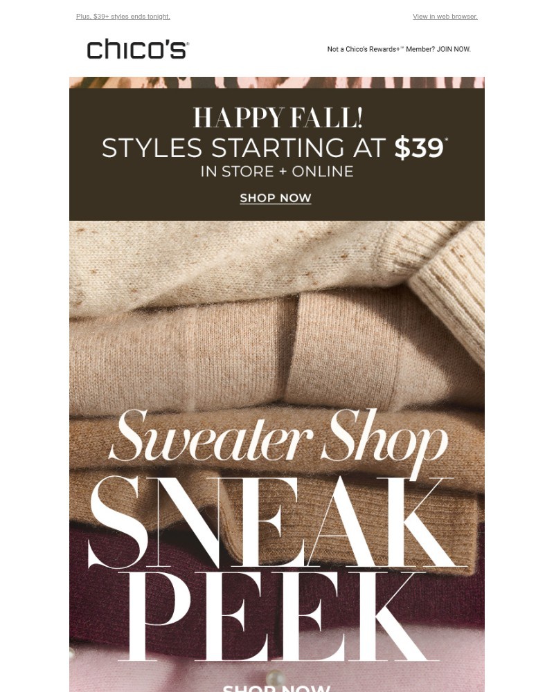 Screenshot of email with subject /media/emails/our-coziest-sneak-peek-ever-ea1f96-cropped-c28c3119.jpg