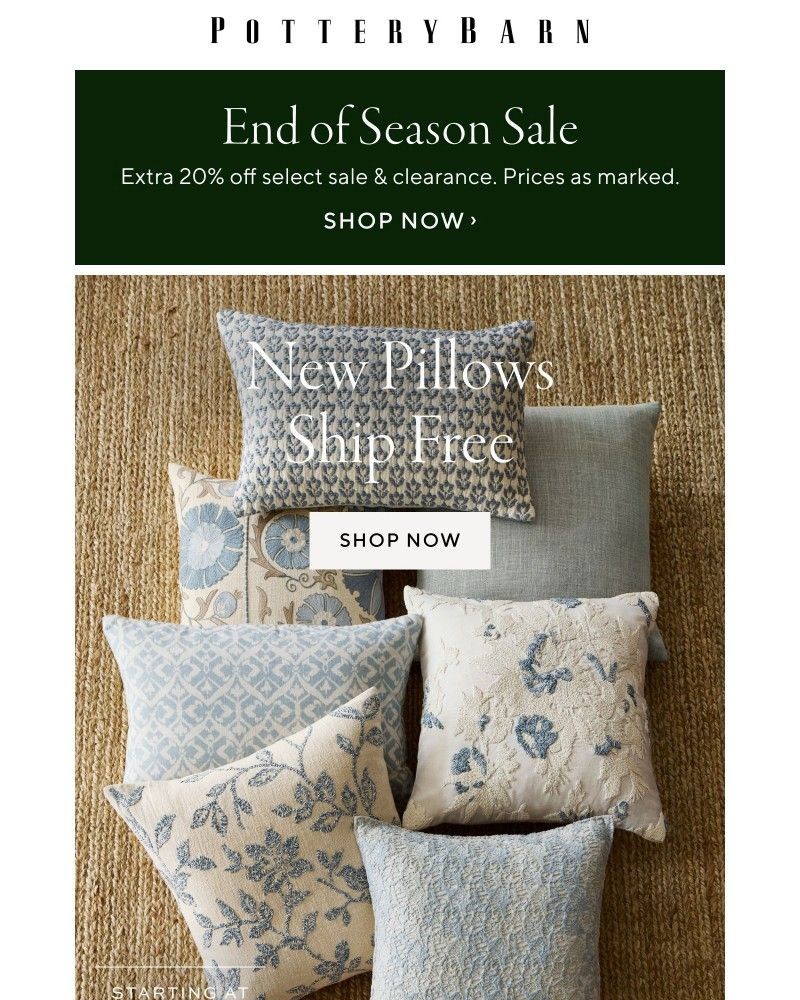 Screenshot of email with subject /media/emails/our-end-of-season-sale-is-on-extra-20-off-clearance-new-pillows-for-every-space-s_Qw8pwU9.jpg