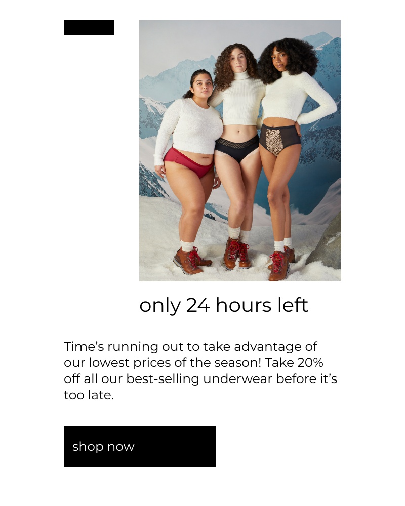 Screenshot of email with subject /media/emails/our-end-of-year-sale-is-almost-over-cropped-cad1e7a2.jpg