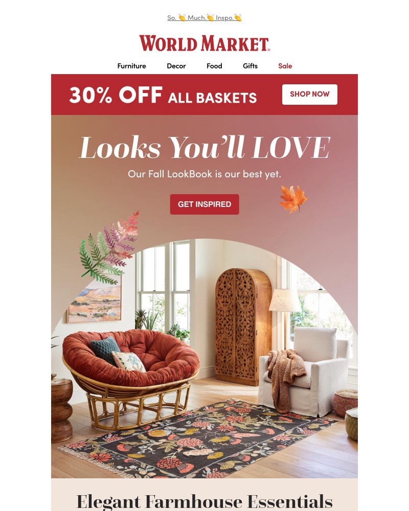 Screenshot of email with subject /media/emails/our-fall-2025-lookbook-is-here-96bdf1-cropped-96b11ef2.jpg