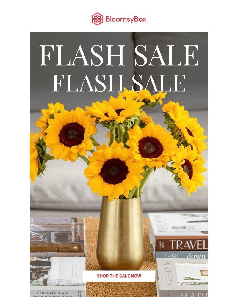 Screenshot of email with subject /media/emails/our-fields-are-full-flash-sale-is-live-09f714-cropped-ceef0fdc.jpg