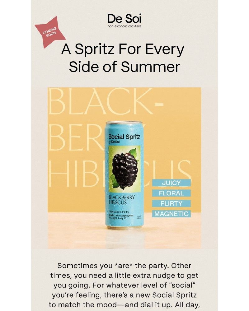 Screenshot of email sent to a De Soi Newsletter subscriber