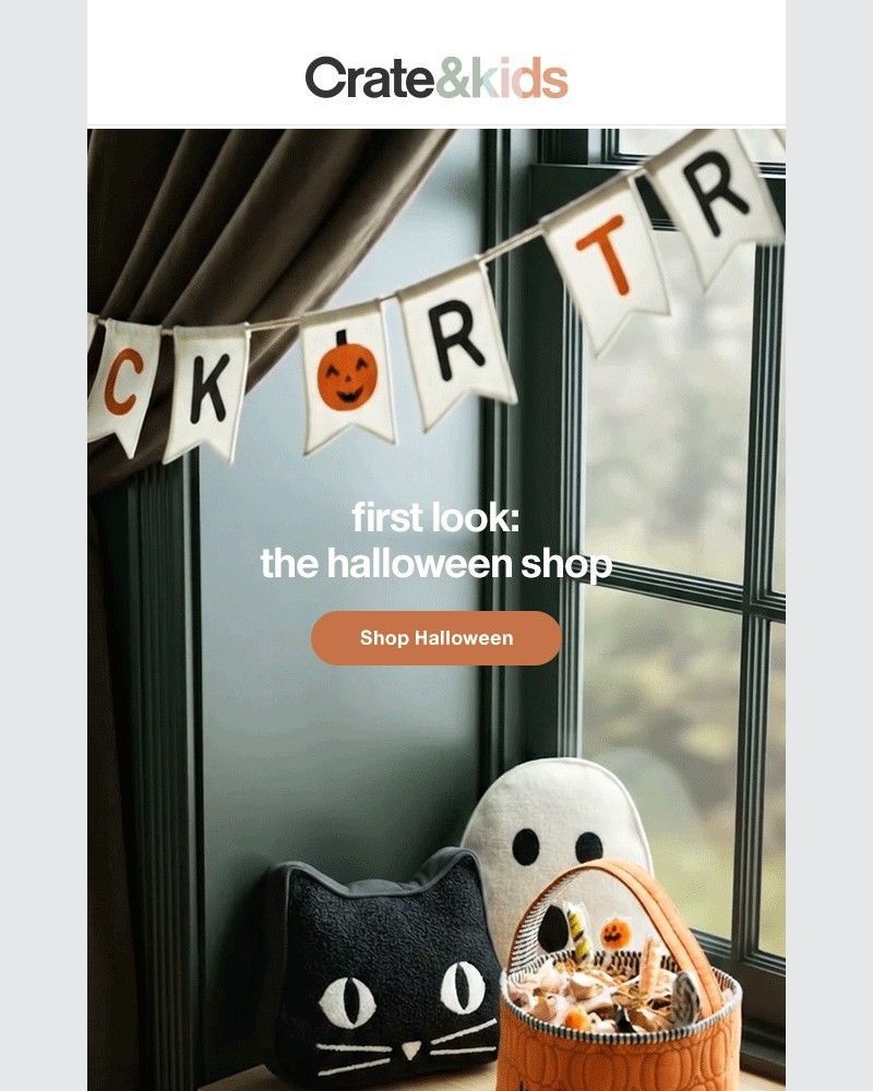 Screenshot of email sent to a Crate & Barrel Newsletter subscriber