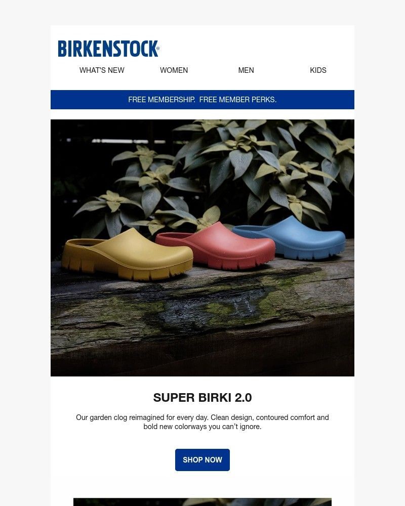 Screenshot of email with subject /media/emails/our-garden-clog-reimagined-for-every-day-b44a56-cropped-a587cb84.jpg